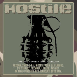 Album cover of Hostile Hip Hop