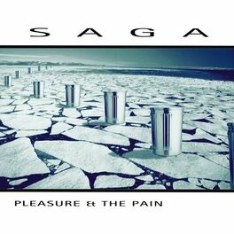 Album cover of Pleasure and the Pain (2016 Version)