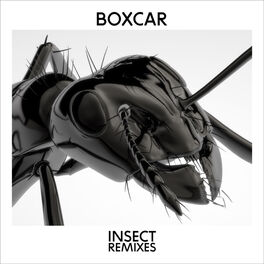 Album cover of Insect (Remixes)