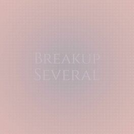 Album cover of Breakup Several