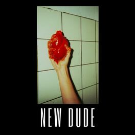 Album cover of New Dude