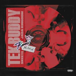 Album cover of Tek Buddy (Remix)
