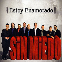 Album cover of Estoy Enamorado