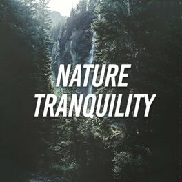 Album cover of Nature Tranquility