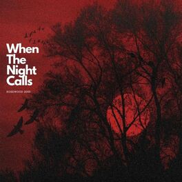 Album cover of When The Night Calls