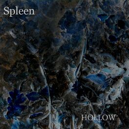 Album cover of Hollow