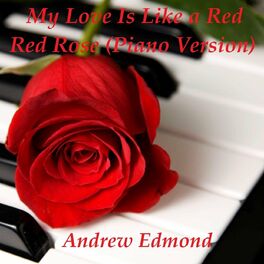 Album cover of My Love Is Like a Red Red Rose (Piano Version)