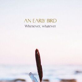 Album cover of Whenever, whatever