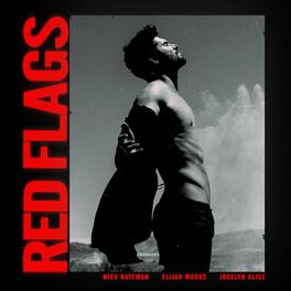 Album cover of Red Flags