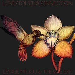 Album cover of Love Touch Connection