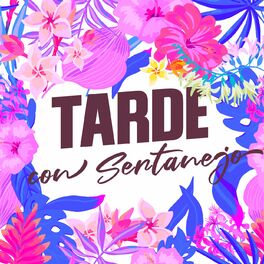 Album cover of Tarde con Sertanejo