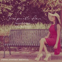 Album cover of Incomparable Amor (Version Extendida Pista Instrumental)