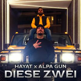 Album cover of Diese Zwei
