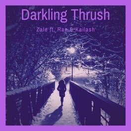Album cover of Darkling Thrush (feat. Rae & Kailash)