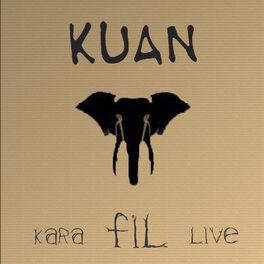 Album cover of KARA FİL LIVE