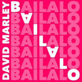 Album picture of Bailalo