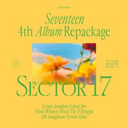 Album cover of SEVENTEEN 4th Album Repackage 'SECTOR 17'