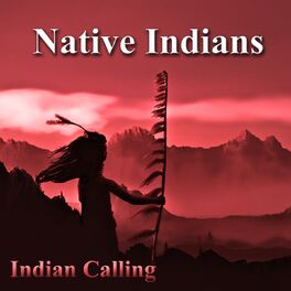 Album cover of Native Indians (Native American Music)