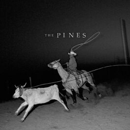 Album cover of Pasture II