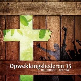 Album cover of Opwekkingsliederen 35 (723-734)