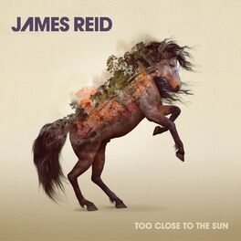Album cover of Too Close to the Sun