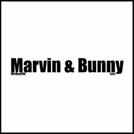 Album cover of Marvin & Bunny
