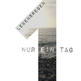 Album cover of Lebensregen