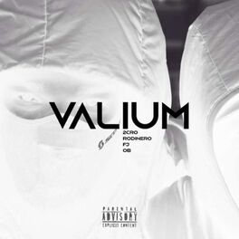 Album cover of Valium (feat. Rodinero, FJ & 2cro)