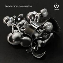 Album picture of Perception / Tensor