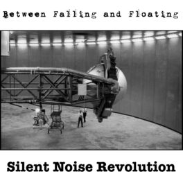 Album cover of Between Falling and Floating