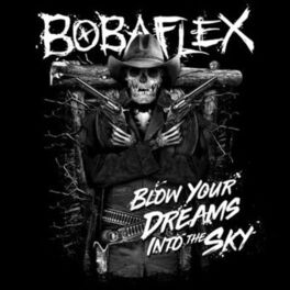 Album cover of I'll Blow Your Dreams into the Sky