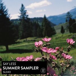 Album cover of Say Less Summer Sampler