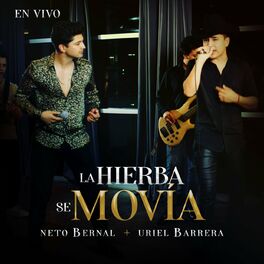 Album cover of La Hierba Se Movía (En Vivo)