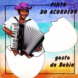 Album cover of Gosto da Bahia