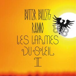 Album cover of Les larmes du soleil 2