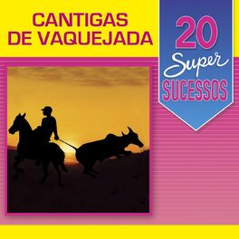 Album cover of 20 Super Sucessos: Cantigas de Vaquejada