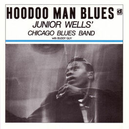 Album cover of Hoodoo Man Blues