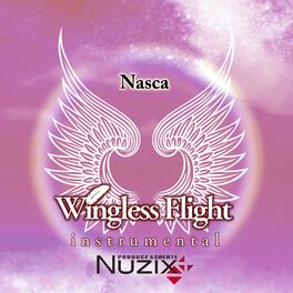 Album cover of Wingless Flight (Instrumental)