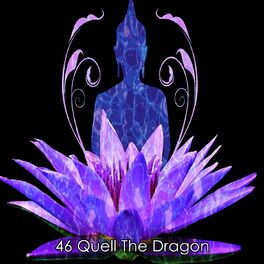 Album cover of 46 Quell The Dragon