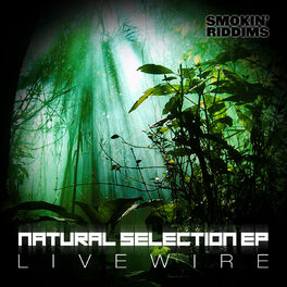 Album cover of Natural Selection EP