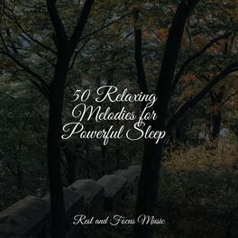 Album cover of 50 Relaxing Melodies for Powerful Sleep