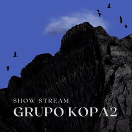 Album cover of Show Stream