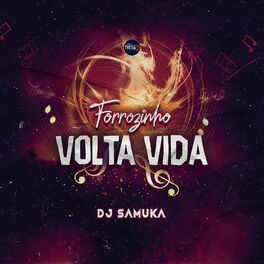 Album cover of Volta Vida Forrozinho