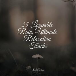 Album cover of 25 Loopable Rain, Ultimate Relaxation Tracks