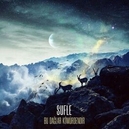 Album cover of Bu Dağlar Kömürdendir