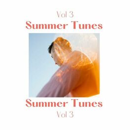 Album cover of Summer Tunes Vol 3