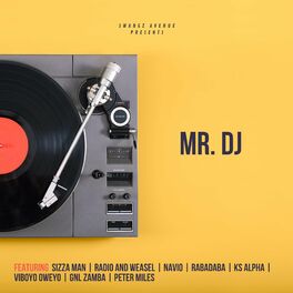 Album cover of MR DJ