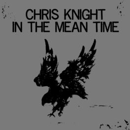 Album cover of In the Mean Time