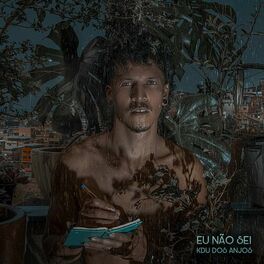 Album cover of Eu Não Sei