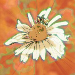 Album cover of Echinacea